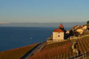 Château dans les vignes - Image 2