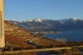 Château dans les vignes - Image 5