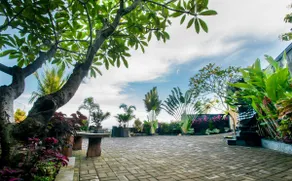 Winy-Villa Lovina - Image 3