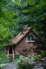 Wild Fox Cabin | Sauna + Nature Retreat Near AVL - Image 3
