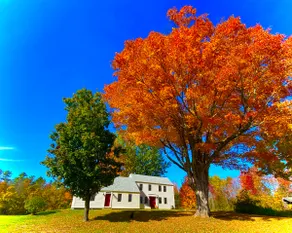 Spacious & Historic Farmhouse - Image 2