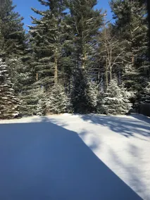 Cottage so close to Old Forge you can see it - Image 4