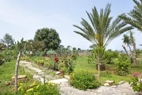 Villa Priscilla - Image 5