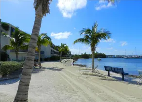 Paradise in the Florida Keys - Image 3