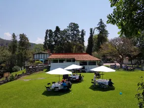Large House + Little House + Large Garden + Fire Pit + Games 19per - Image 4