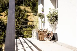 Treetop apartment in a dream location on the edge of the forest - Image 3