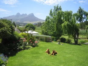 Vineyards, pool, views. Acara (Solar off grid) - Image 5