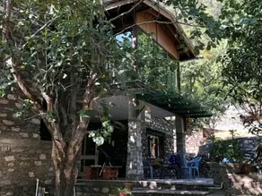 Corbett Malbagadh - an experience with nature. - Image 2