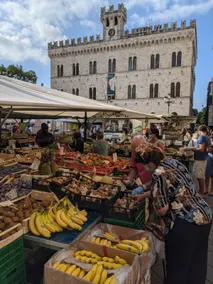 LaFenice ★★★★★ CITRA-010015-LT-0461 historic center - Image 4