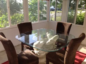Tropical hideaway at Palm Cottage - Image 3