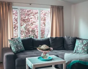 Vacation home \"Karli\" at the diving paradise and Harz gate - Image 4