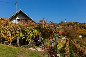 Vineyard Cottage Vercek - Image 3