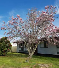 Magnolia Cottage - Image 2