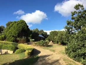 The Cottage Garden a Le olive - Image 4