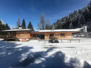 Chalet mit Grill | Naturblick - Image 2