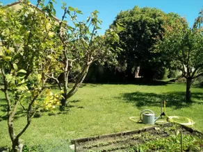 The Jujube Tree - Image 4