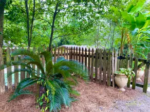 The Little Manor on 7th, secluded cottage moments from Historic Downtown Laurel - Image 3