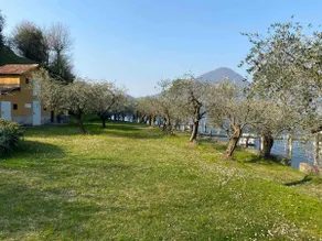 NIC Lake House - Image 4