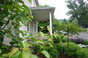 Fabulous & Work Stay Studio Apartment - Image 4