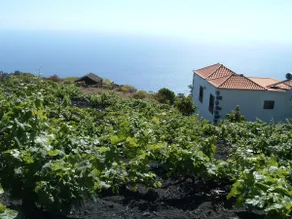 Casa las Las Viñas - Image 3