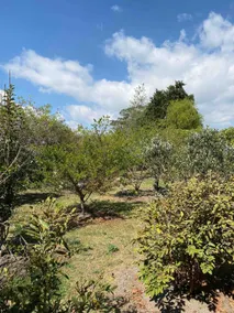 Campestre Sogamoso - Iza Apartment - Image 4