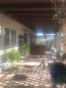 Luz de Paz - Image 3