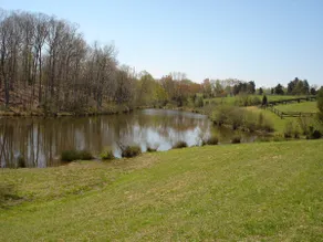 'Pond House' on Huge Horse/Cattle Farm - Image 2