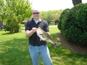 'Pond House' on Huge Horse/Cattle Farm - Image 3