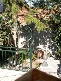 WATER apartment in Cal Alemany. Schönes Dorfhaus - Image 2
