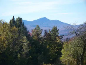 Sugar Hill - Image 5