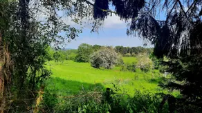 Tranquil, idyllic rural getaway - Image 3