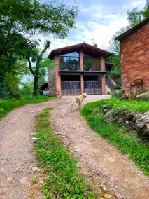 The Cabin of Mas Gingi - Image 4