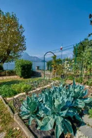 The vegetable garden 2 - Image 3