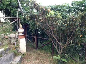Seaside Mobile Home 2 - VULCANO - Image 4