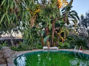 Cottage inTropical Garden & Pool - Image 2