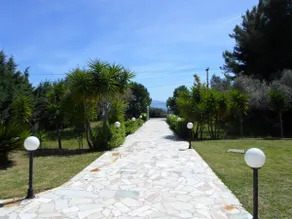 Alexandros studio - Image 4