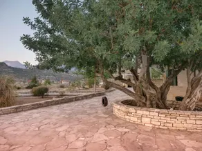 Carob Villa - Image 5