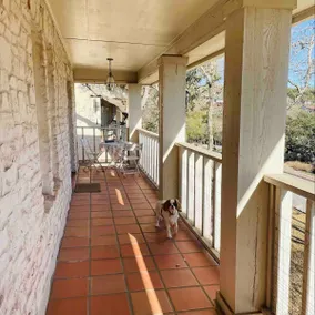 Spectacular Westlake Home w/ Private Pool - Backyard Oasis - Image 4