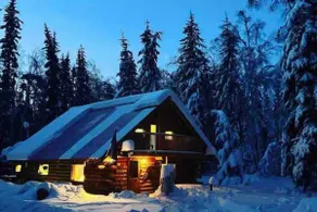 Cozy Cabin in the Woods - Image 3