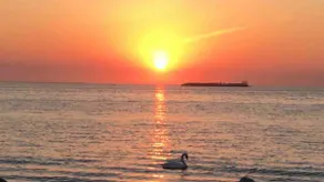 Luxurious Waterfront all Season Home with Private Beach.  Awesome sunsets! - Image 5