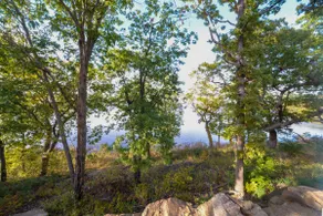 Treehouse at CrossTimbers Marina - Image 5