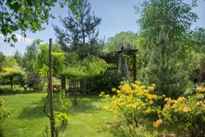 Wooden cottage in the Beskids - Image 4