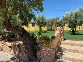 Cortijo Bustamante - Image 5