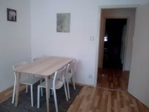 Beautiful apartment *** between the vineyards and ramparts of Obernai - Image 4