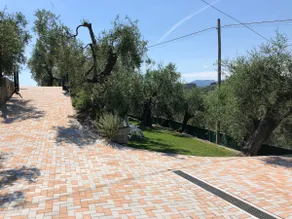 B&B L'Uliveto - Image 3