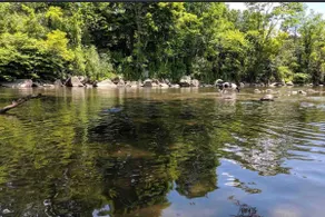 Walk to Williams college and town - Image 5