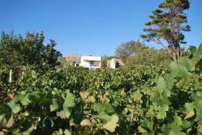 House Particular Lipari wifi - Image 4