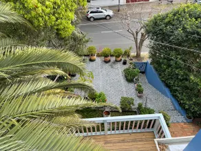TREETOPS PENTHOUSE Rose Bay Sydney, 3 bedrooms - Image 5