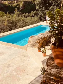 Provence house with pine forest view, large garden and private pool - Image 4