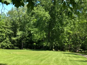 Beautiful Country setting, close to wineries - Image 3